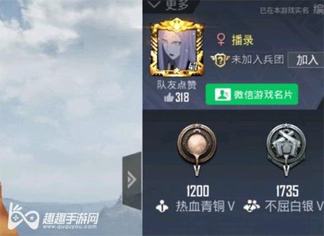 和平精英辅助【黑鲨直装】方框透视 无后自瞄 加速穿墙 雷达绘制  视角扩大 空投透视 人物射线 准星聚点